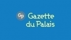 (JUR) Responsabilité du fait des choses ou responsabilité du fait des produits défectueux – Gazette du Palais